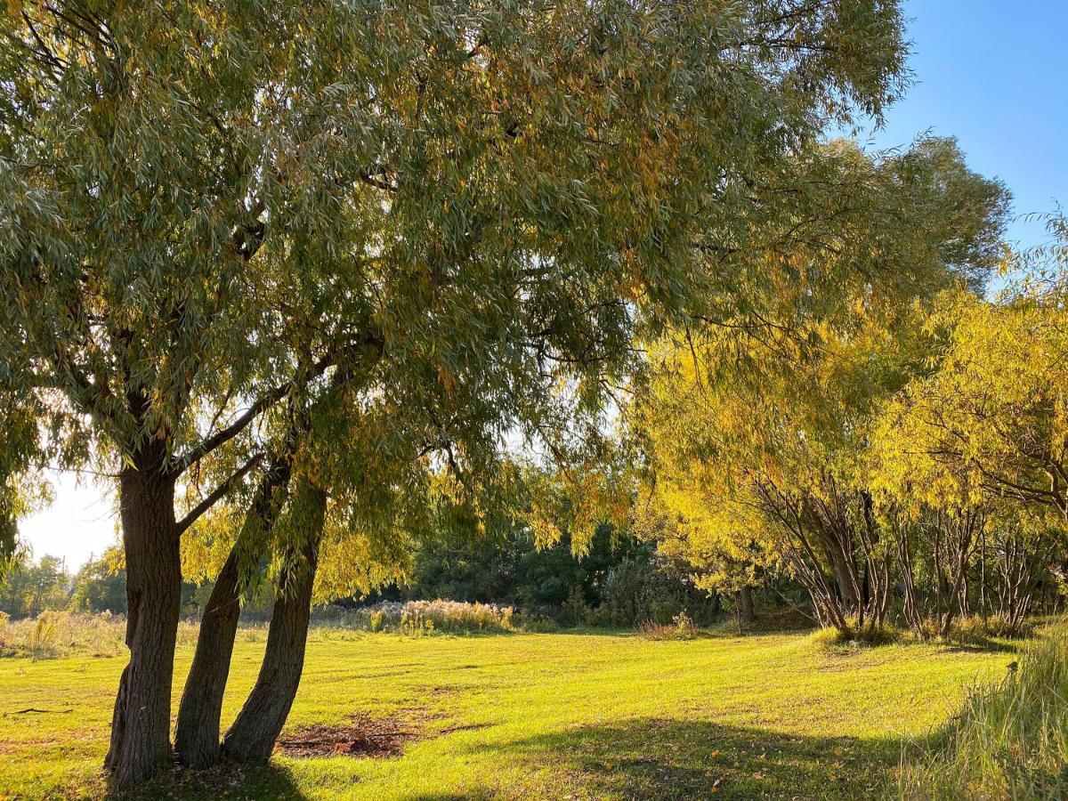 Treeskit House Holiday home Horenka